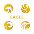 Collection Eagle or Hawk With Circular Concept Logo Vector Design with 4 variations