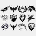 collection of eagle logos