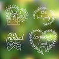 Collection of eco and bio labels, badges Royalty Free Stock Photo