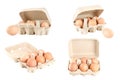 Collection of eggs in cardboard tray isolated on white.