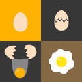 Collection of eggs for cooking