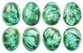 Collection Of Eight Easter Eggs Dyed Emerald Green And Decorated With Weed Leaves Imprints Isolated On White Background Royalty Free Stock Photo