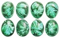 Collection Of Eight Easter Eggs Dyed Emerald Green And Decorated With Weed Leaves Imprints Isolated On White Background Royalty Free Stock Photo