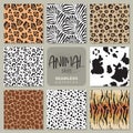 Collection of eight vector seamless patterns with animal skin zebra, leopard, jaguar, giraffe cow. Royalty Free Stock Photo