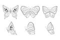 Collection of elegant exotic butterflies isolated on white background. Set of tropical flying insects. Flat vector