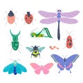 Collection of elegant insect design concepts: butterflies, moths and other beetles isolated on a white background. Royalty Free Stock Photo