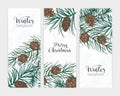 Collection of elegant vertical festive winter backgrounds with forest coniferous tree branches and cones and holiday