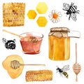 Collection of elements on the theme of honey