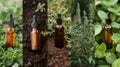 Collection of essential oil dropper bottles set against backdrop of lush herbal plants, symbolizing organic skincare Royalty Free Stock Photo