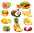 Collection of exotic fruit and berries. Papaya, guava, limon, banana, mango, coconut, kiwi, guava, melon, lychee, pineapple.