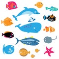 A collection of exotic marine inhabitants