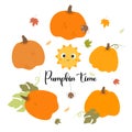 Collection of fall orange pumpkins, cute sun, spider insects and autumn leaves. Vector illustration with autumn harvest