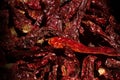 Collection of famous spicy kashmiri dry red chillies. Royalty Free Stock Photo