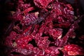 Collection of famous spicy kashmiri dry red chillies. Royalty Free Stock Photo