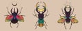Collection of fantasy colorful beetle for design. Vector graphics Royalty Free Stock Photo
