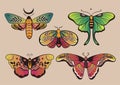 Collection of fantasy colorful butterflies for design. Vector graphics Royalty Free Stock Photo