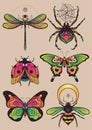 Collection of fantasy colorful insects for design. Vector graphics