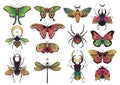 Collection of fantasy colorful insects for design. Vector graphics