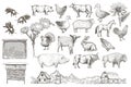 Collection of farm animals. Vector eps10 isolated illustrations.