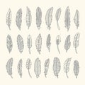 a collection of feathers drawn in black and white