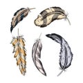 Collection of the feathers .Handmade work.Vector illustration