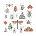 Collection of festive butterfy, moth, bug, ladybug, cockroach, ant, dragonfly. Vector illustrations set of flying