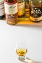 Collection of a few Good and Popular Single Malt Scotch Bottles