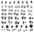 Collection of fingerprints