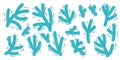 Collection of fir branches. Vector hand drawn illustration