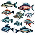 Fish Logos Collection Set On White Background