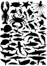 Collection of fish silhouette
