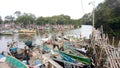 a collection of fishing boats on a mangrove forest beach
