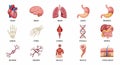 Anatomy Icons: Human Organs, Skeletal System, DNA, and Cells Royalty Free Stock Photo