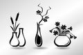 Collection of flat icons vases with flowers: orchid, snowdrops, bulrush