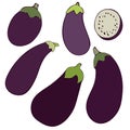 Set of flat vector illustrations of fresh eggplants. Image of vegetables, summer season. Drawn by hands. Isolated over white