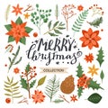 Collection of floral Christmas elements. Set with flower poinsettia, tree branch, leaves, holly leaves, pinecone, berry, Royalty Free Stock Photo