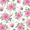 Collection of floral illustrations using colorful watercolor graphics techniques. White backgrounds for digital prints Royalty Free Stock Photo