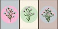 Collection of floral posters in pastel colors