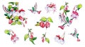 Spring, summer set, pink flower, green leaves, branch, colibri. Collection floral watercolor decorative elements