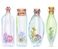 Collection of florariums, set of watercolor bottles with succulents and cuctuses inside Royalty Free Stock Photo