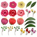 Flower and foliage spring collection isolated icon set Royalty Free Stock Photo