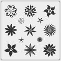 Collection of flower design elements. Floral icons set. Royalty Free Stock Photo