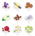 Collection of flower herbs