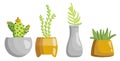 Collection of flower pots with plants. Vector set of cozy cute indoor flowers isolated on a white background. Hygge time