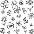 Collection flowers of botanical hand drawn doodles