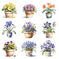 Collection of flowers in ceramic pot on white background, watercolor painting style