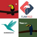 Collection of Flying Birds vector illustration. Humming Birds, Iconic Flamingo and Toucan bird Set logo design Royalty Free Stock Photo