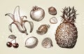 Collection food sketch. Hand drawn fruits such as banana, pomegranate, strawberry, lemon, cherry, pineapple. Vector