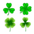 Set of green clover leaves isolated on white background Royalty Free Stock Photo