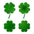 Collection of four-leaf clovers Royalty Free Stock Photo